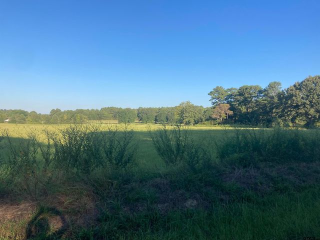 15178 CR 1100, Tyler, TX 75703