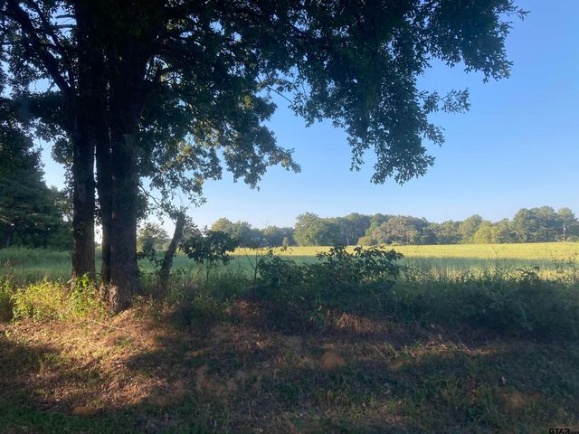 15178 CR 1100, Tyler, TX 75703