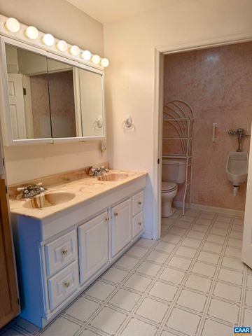 670 BABER LN, Scottsville, VA 24590