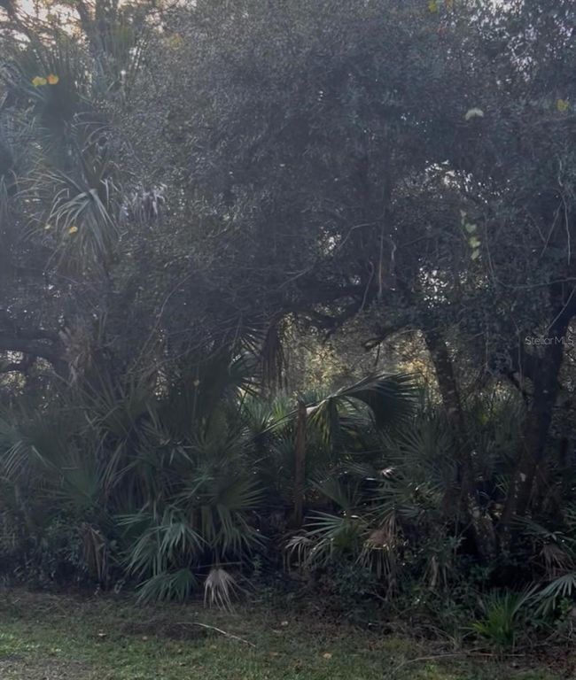 00 DILL ROAD, Orlando, FL 32820