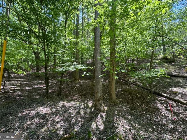 LOT 1972 Nancy Court, Ellijay, GA 30540