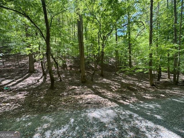 LOT 1972 Nancy Court, Ellijay, GA 30540