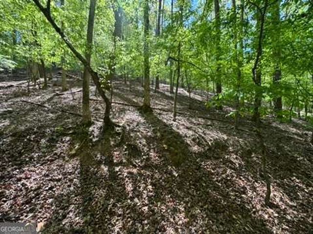 LOT 1972 Nancy Court, Ellijay, GA 30540