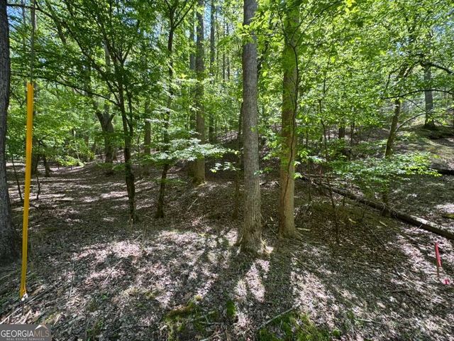 LOT 1972 Nancy Court, Ellijay, GA 30540