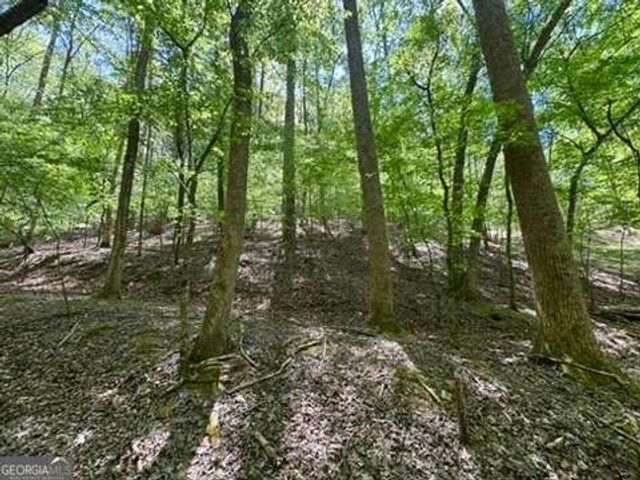 LOT 1972 Nancy Court, Ellijay, GA 30540