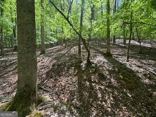LOT 1972 Nancy Court, Ellijay, GA 30540