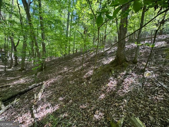 LOT 1972 Nancy Court, Ellijay, GA 30540