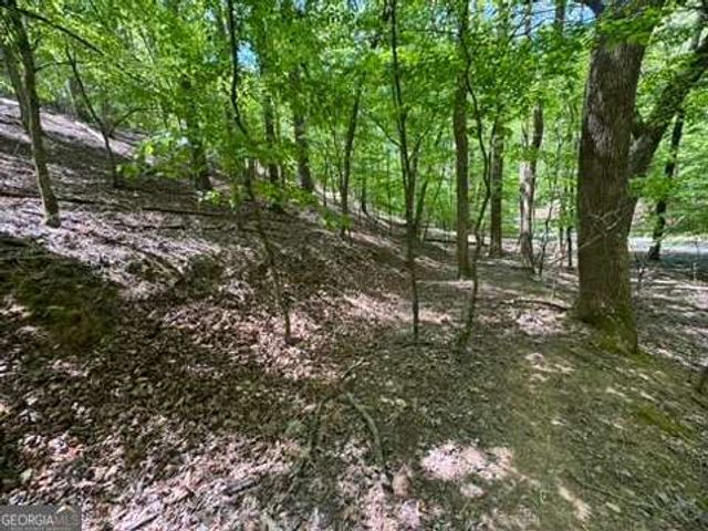 LOT 1972 Nancy Court, Ellijay, GA 30540