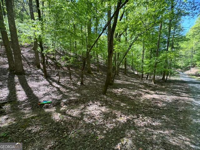 LOT 1972 Nancy Court, Ellijay, GA 30540