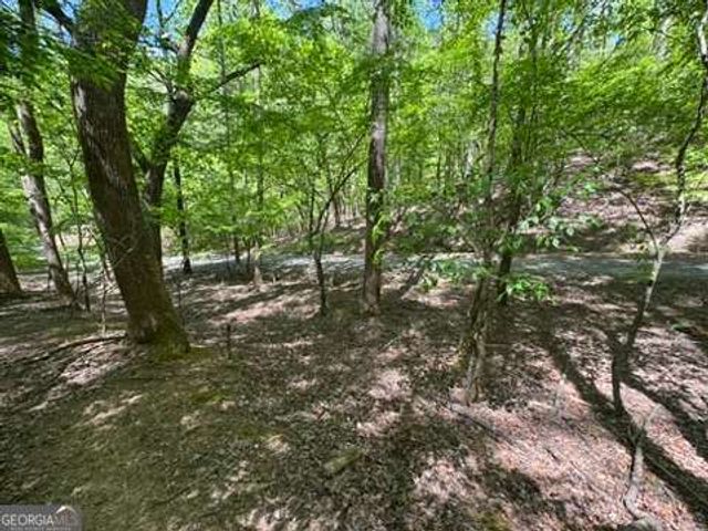 LOT 1972 Nancy Court, Ellijay, GA 30540