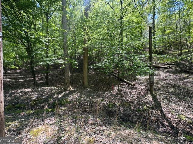 LOT 1972 Nancy Court, Ellijay, GA 30540