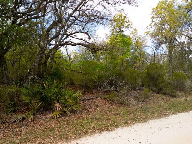 00 NE 131ST TERRACE, Bronson, FL 32621