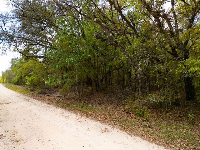 00 NE 131ST TERRACE, Bronson, FL 32621