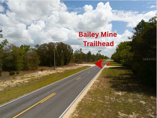 00 NE 131ST TERRACE, Bronson, FL 32621