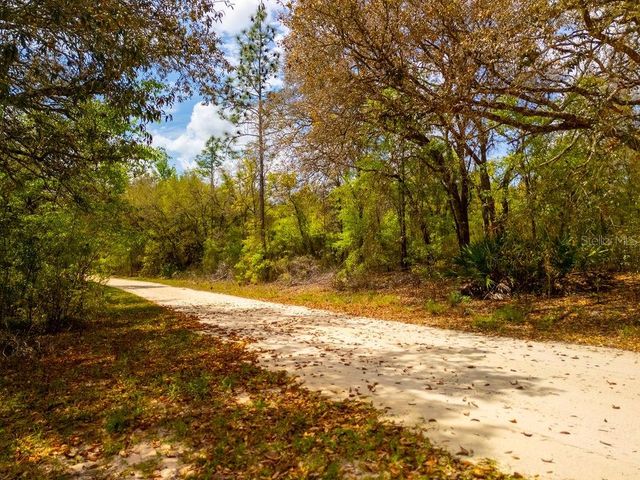 00 NE 131ST TERRACE, Bronson, FL 32621