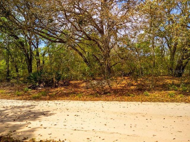 00 NE 131ST TERRACE, Bronson, FL 32621