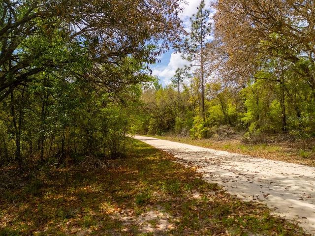 00 NE 131ST TERRACE, Bronson, FL 32621