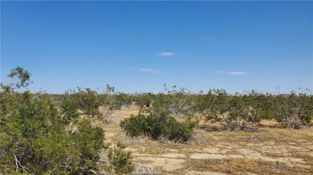 0 Budlong Ave & 114th St West, Rosamond, CA 93560