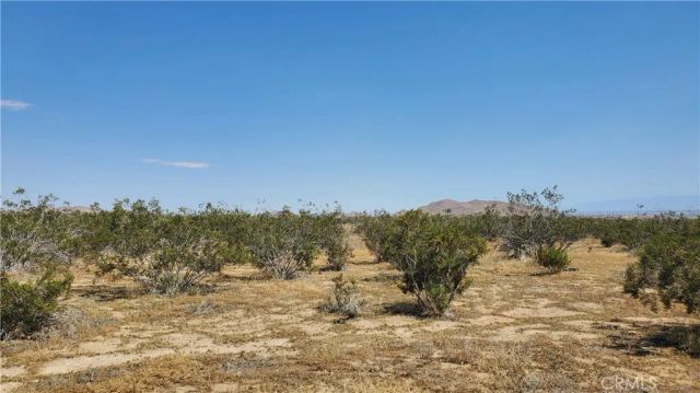 0 Budlong Ave & 114th St West, Rosamond, CA 93560