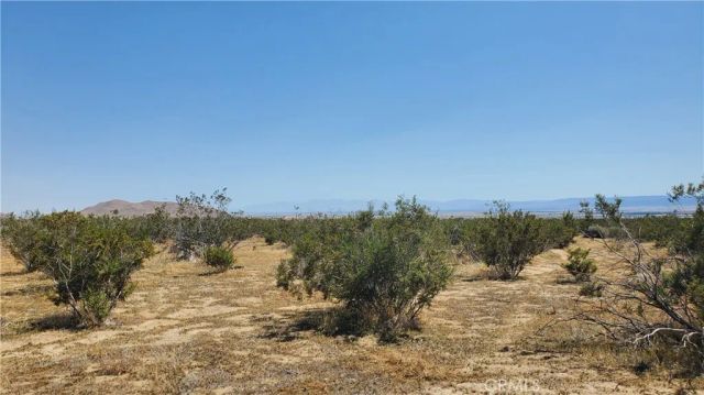 0 Budlong Ave & 114th St West, Rosamond, CA 93560