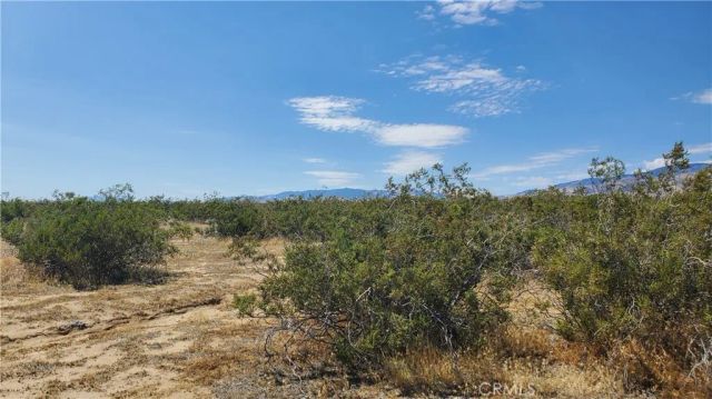 0 Budlong Ave & 114th St West, Rosamond, CA 93560