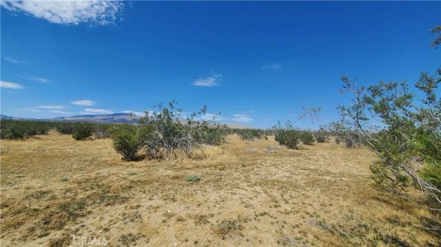 0 Budlong Ave & 114th St West, Rosamond, CA 93560
