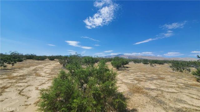 0 Budlong Ave & 114th St West, Rosamond, CA 93560