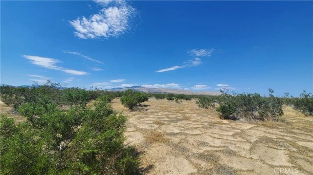 0 Budlong Ave & 114th St West, Rosamond, CA 93560