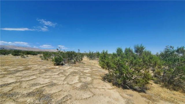 0 Budlong Ave & 114th St West, Rosamond, CA 93560