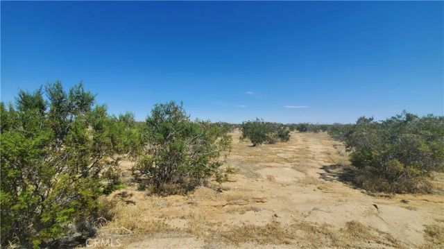 0 Budlong Ave & 114th St West, Rosamond, CA 93560