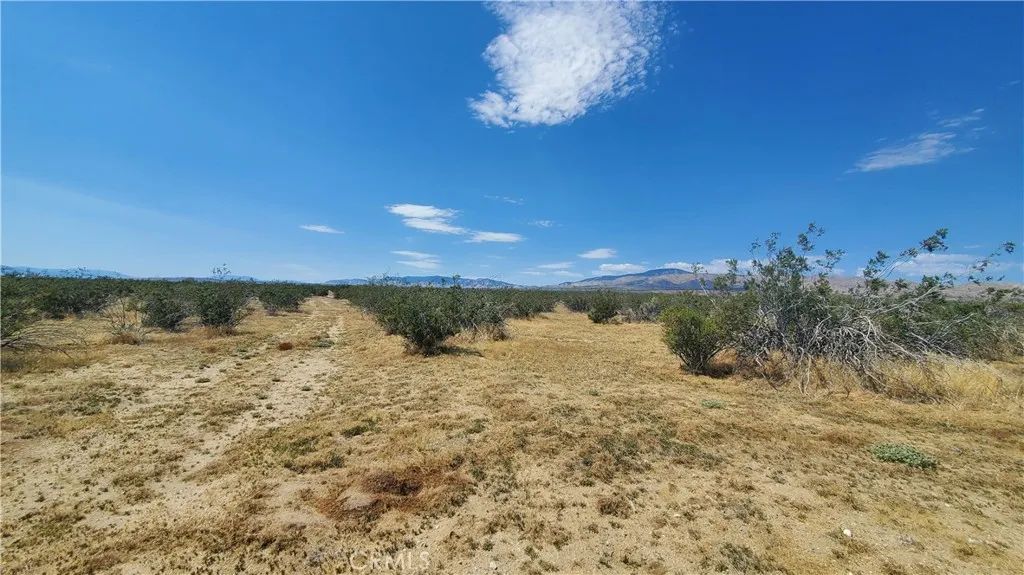 0 Budlong Ave & 114th St West, Rosamond, CA 93560