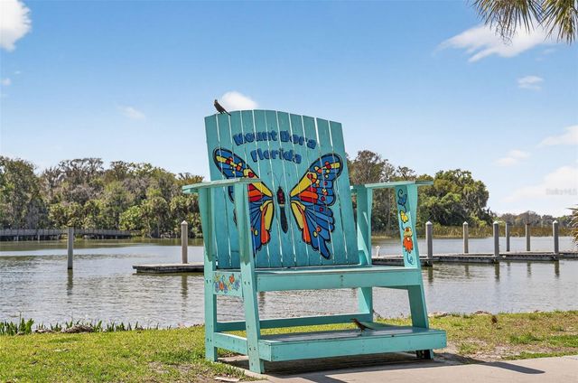 1120 GARDNER LANE, Mount Dora, FL 32757