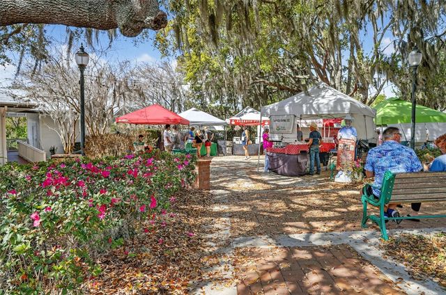 1120 GARDNER LANE, Mount Dora, FL 32757