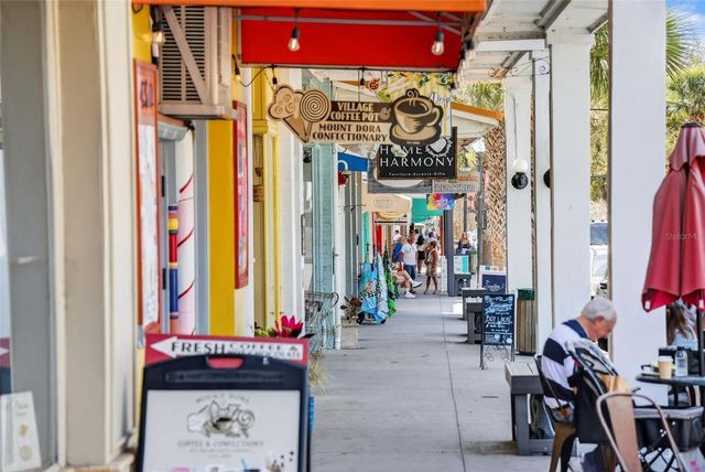 1120 GARDNER LANE, Mount Dora, FL 32757