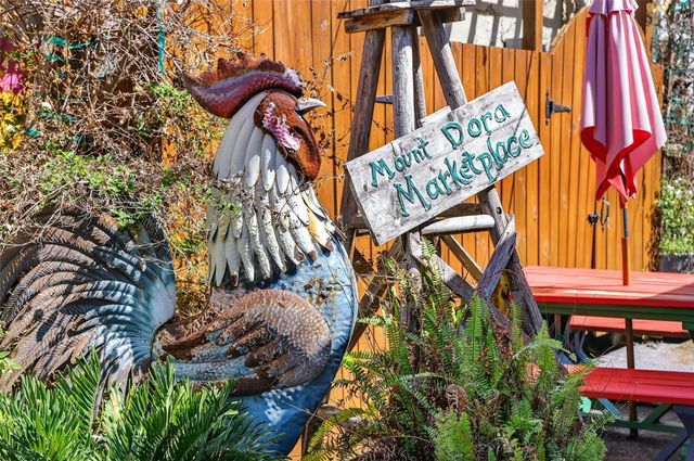 1120 GARDNER LANE, Mount Dora, FL 32757