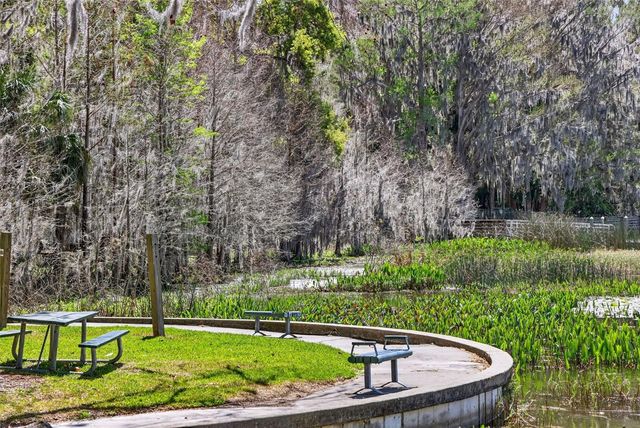 1120 GARDNER LANE, Mount Dora, FL 32757