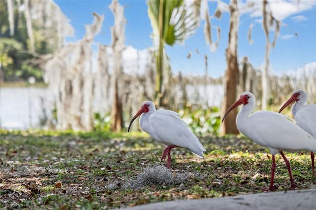 1120 GARDNER LANE, Mount Dora, FL 32757