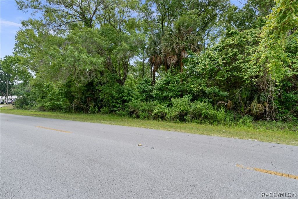8470 W Bradshaw Street, Homosassa, FL 34448
