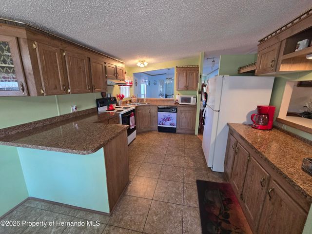9175 Denmarsh Drive, Brooksville, FL 34613