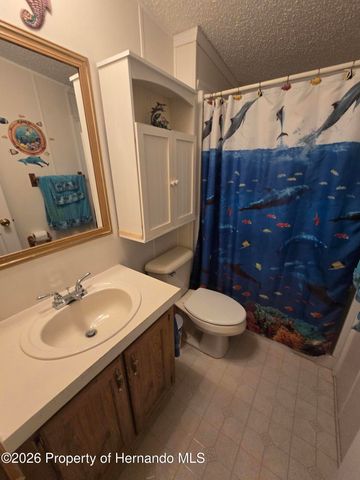 9175 Denmarsh Drive, Brooksville, FL 34613