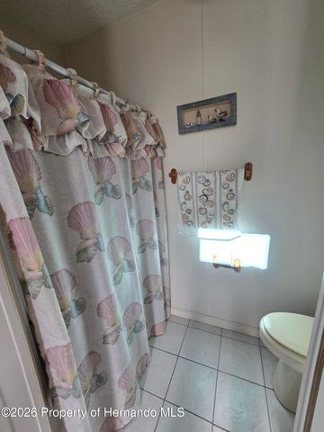 9175 Denmarsh Drive, Brooksville, FL 34613