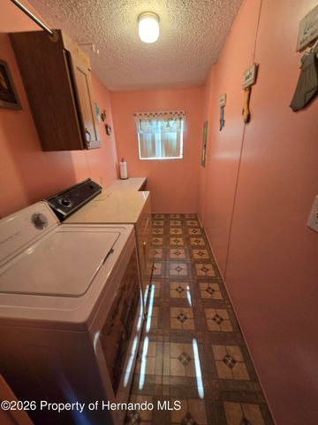 9175 Denmarsh Drive, Brooksville, FL 34613