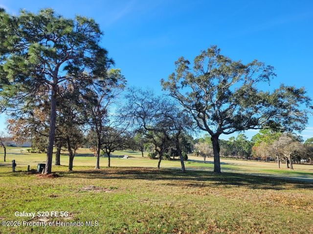 9175 Denmarsh Drive, Brooksville, FL 34613