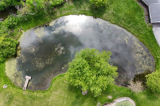 13 Riegel Oaks Lane, Homewood, IL 60430