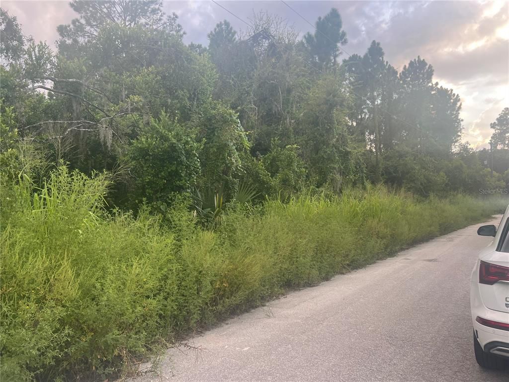 Lots 119, 120, 121 & 122 W HERRICK AVENUE W, Eustis, FL 32726