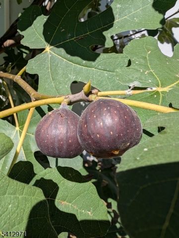 612 Passaic Ave, Nutley Twp., NJ 07110