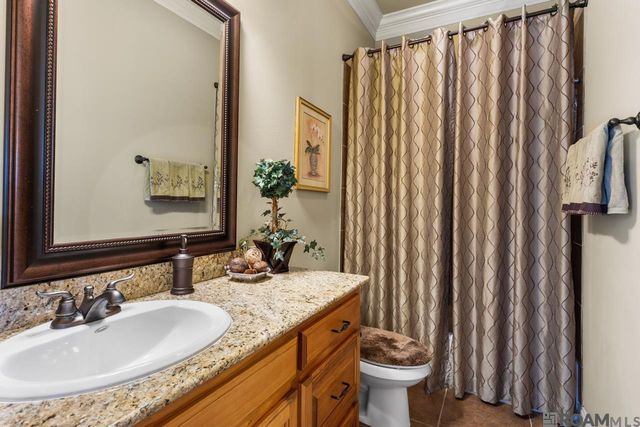 14630 Wisteria Lakes Dr, Central, LA 70818