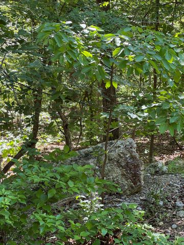 TBD Spokane Drive, Cherokee Village, AR 72529