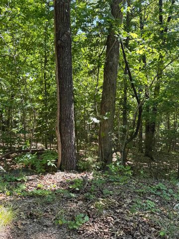 TBD Spokane Drive, Cherokee Village, AR 72529