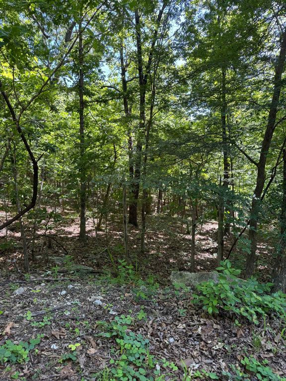 TBD Spokane Drive, Cherokee Village, AR 72529